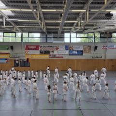 Kata-Lehrgang mit Julian Chees in Groß-Umstadt - 3